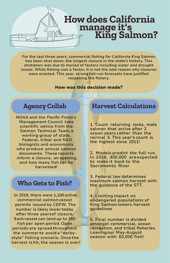 Salmon Management Salmon Management