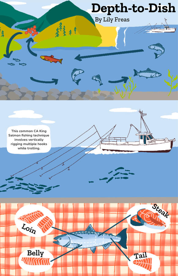 Salmon Depth to Dish